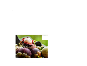 Extracto de Garcinia Cambogia de alta calidad, producto herbario natural - Product Image 1