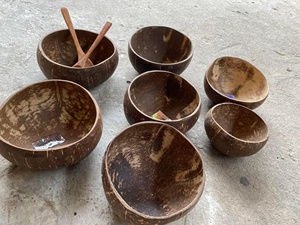 ชุดชามเปลือกมะพร้าวธรรมชาติ |   ชามเสิร์ฟสมูทตี้และสลัดรักษ์โลกจากเวียดนาม - คุณทารินา - Product Image 4