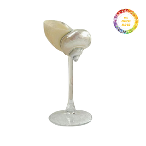 Premium Seashell Glass Wine Goblet For Beach Wedding Celebration High Quality Handmade Ocean Theme Wholesale - Product Image 1