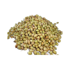 Semillas de Cilantro Secas de la Mejor Calidad, Paquete de 100 kg, 2 Años de Duración, Precio Económico - Product Image 3
