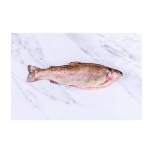 Poisson frais de truite de qualité supérieure, prix usine, fruits de mer proposés pour la vente en gros et aux acheteurs en gros - Product Image 1