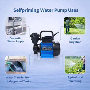 Pompe à eau auto-amorçante Hydroplus International 0,5 CV avec moteur en cuivre, haute pression, pour l'irrigation domestique et le transfert d'eau dans les jardins - Product Image 5