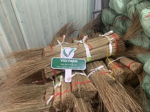 Palos de coco de alta calidad, palos de hoja de coco natural crudo para limpieza, palos Ekel para producción de escobas, precio de proveedor al por mayor - Product Image 3