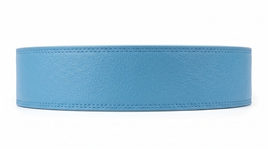 Ceinture de musculation Dumela 100 mm en cuir de vachette, boucle à ardillon, broderie bleu clair, style décontracté et durable - Product Image 2