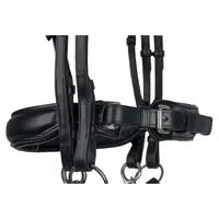 Bridon en cuir à canal vide, cuir véritable de haute qualité, cuir premium, design tendance avec frontale et rênes pour cheval