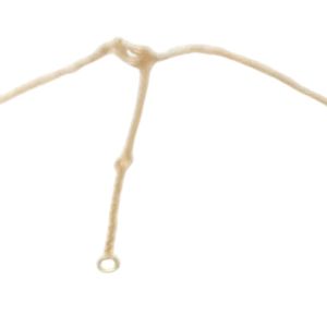 Collier en or vermeil 14 carats avec pendentif délicat en forme de lierre, chaîne élégante couleur or, bijou de mode minimaliste et raffiné - Product Image 5