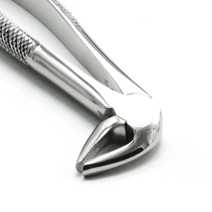 Ensemble de forceps d'extraction dentaire en acier inoxydable pour adultes/enfants, instruments buccaux, forceps d'extraction dentaire pour dix dents, haute qualité - Product Image 2