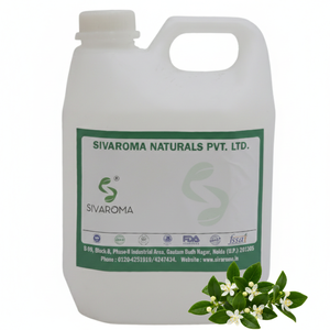 น้ำมันมายร์เทิลเขียวเกรดมืออาชีพสำหรับการใช้งาน B2B ในอุตสาหกรรมน้ำหอม, เครื่องใช้ในห้องน้ำ และผลิตภัณฑ์กลิ่นหอมจากธรรมชาติ - Product Image 2