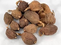 CARDAMOMO NEGRO SECO DE CULTIVO RECIENTE ENTERO / CARDAMOMO NEGRO DE AROMA INTENSO PARA B2B - Product Image 4