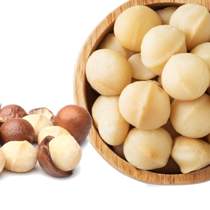100% noix de macadamia concassées séchées Taille> 25mm Nouvelle récolte 2023 Viet Nam Fabrication Vente en gros Export Standard Premium Quality - Product Image 2