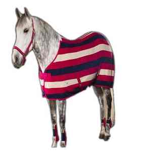 Couverture d'équitation imperméable et respirante en tissu ripstop durable pour activités équestres en plein air - Product Image 6