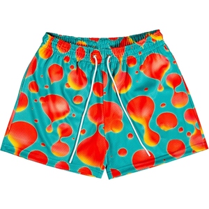 Shorts de sport décontractés pour hommes, classiques, en mesh, imprimés par sublimation, légers, pour l'entraînement au basketball - Product Image 5