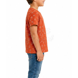 T-shirts pour enfants tendance et de haute qualité, en tissu molletonné 100% coton lavé, coupe décontractée, légers, parfaits pour un usage quotidien décontracté - Product Image 5
