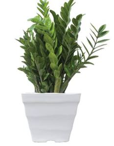Pot pour la décoration de la maison et du jardin, Wave Square Pot avec plastique de haute qualité - Product Image 3