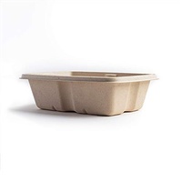 Nouvelle boîte d'emballage alimentaire jetable compostable en bagasse de petite taille 1000 ml pour la restauration rapide et les plats de rue, anti-fuite avec couvercle