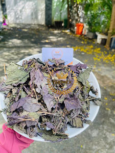 100% hojas de Perilla frutescens secas naturales té Shiso aromático cantidad a granel para exportar desde Vietnam - Product Image 4