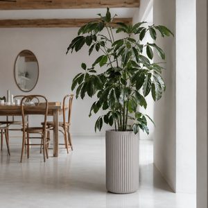 Jardinière cylindrique blanche Hieta Garden pour extérieur, pot en fibre de verre côtelé, style moderne, décoration de jardin intérieur et patio, 2 tailles - Product Image 4