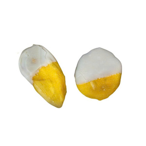 Snack de Mango Bañado en Chocolate, Fruta Tropical Seca Premium, Bocados de Chocolate Negro, Delicias Dulces Gourmet, Proveedor Mayorista - Product Image 2