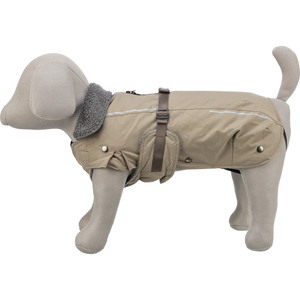 Vêtements pour animaux de compagnie Arena Rouen Shelter S 40 cm - Product Image 3
