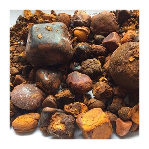 Cálculos biliares de buey de primera calidad al por mayor, cálculos biliares de ganado a granel para medicina tradicional, extractos de hierbas, envío a todo el mundo. - Product Image 4