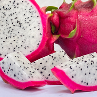 Verse Vietnamese Drakenfruit Pitaya Groothandel, Premium Kwaliteit, Bulk Levering voor Export