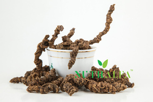 Racines de valériane de qualité supérieure en gros pour les suppléments à base de plantes - Product Image 3