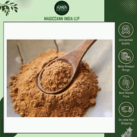 Extrait de Cordyceps en poudre de qualité alimentaire standardisée, complément à base de plantes, culture artificielle, emballage personnalisé pour l'immunité et l'énergie