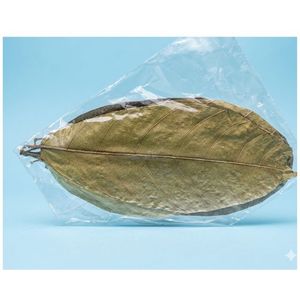 Feuilles de cacao écologiques YAMUNA 11-18 cm (4-7 pouces) pour aquarium, lot de 24 feuilles - Product Image 2