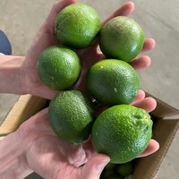 Natuurlijk Geteelde Groene Pitloze Citroen Uit Vietnam Hoog Sapgehalte En Geurige Smaak Vers Verpakt Voor Wereldmarkten