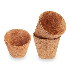 Mini macetas con sistema de cultivo hidropónico, semillas de coco, precio barato - Product Image 1