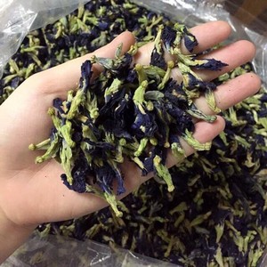 Beneficios para la Salud del Té de Flor de Guisante Mariposa |   Crecimiento del Cabello y Antienvejecimiento - Compre al por Mayor a los Mejores Precios - Product Image 1