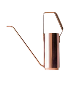 Minimalist Plants Water Can Home Gardening Silver Finished Watering Can Flowers & Garden Metal Watering Can - Product Image 2