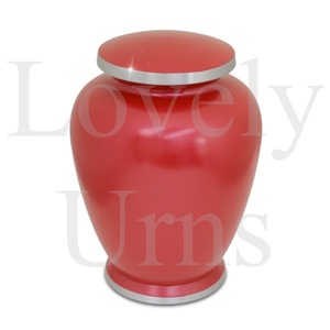 Paquete de 4 urnas de cremación Thera de aluminio, recipientes para cenizas conmemorativas, recuerdos funerarios, duraderos, elegantes y de primera calidad - Product Image 5