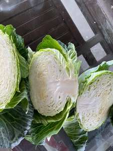 กะหล่ําปลีแช่แข็งคุณภาพระดับพรีเมียม IQF ผู้จัดจําหน่ายแช่แข็งจากแพ็คสุญญากาศเวียดนาม - Product Image 4