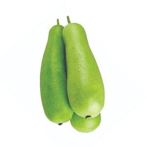 Courge en bouteille saine, légume frais, récolte verte, ingrédient culinaire, produit agricole de qualité, vente en gros, approvisionnement en vrac, exportation fraîche - Product Image 3