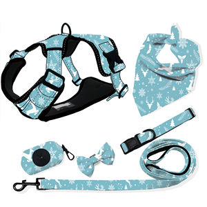 磁気リーシュカラーコットンロープ50フィート格納式ダイヤモンドカラーペットジュエリーxxsドッグハーネス、メタルバックル付き - Product Image 4