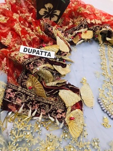 Garara con bordado de red de estilo paquistaní, colección de boda de lujo, gran oferta, 2023 - Product Image 6