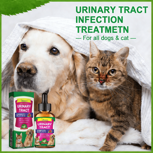 Gotas para el Tracto Urinario de Perros PetKidneyHealth OEM/ODM, Fórmula Orgánica Suave con Calcio y Frutas para la Salud Digestiva, para Todas las Etapas de la Vida - Product Image 1