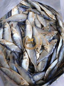 Vente en gros de hareng séché sprats sardinelle bon prix anchois avec un excellent goût séché au soleil poisson pour animaux de compagnie du Vietnam - Product Image 6