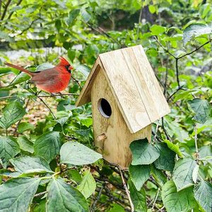 Mangeoire à oiseaux automatique en bois, durable, écologique, étanche, support pour beurre de cacahuète, taille personnalisée, couleur naturelle - Product Image 4