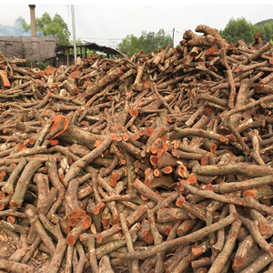 Carbón blanco de carbón fijo 95% de alta calidad y precio competitivo-Carbón de lichi de la fábrica de Vietnam - Product Image 5