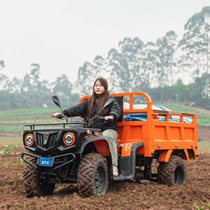 Vehículo Todoterreno Eléctrico para Granja con Certificación Europea EEC CE, 2x4, 2WD, Transmisión por Eje Automática, Batería de Litio de 76.8V, Carga Útil de 500 kg, 43 km/h - Product Image 3