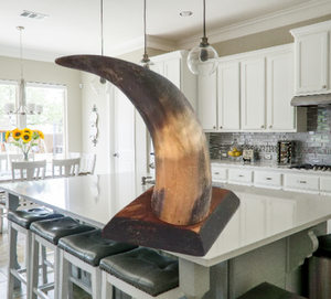 Decoración Artesanal de Cuerno de Búfalo sobre Base Metálica, Elegante Centro de Mesa Natural para Hogar u Oficina - Product Image 5