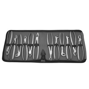 Forceps d'extraction dentaire manuels en acier, modèle américain professionnel, pour dents supérieures et inférieures, certifiés CE ISO, par Gip Surgical - Product Image 1