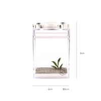 Ant Empire - Zone d'alimentation verticale moyenne, mangeoire à sable gris, accessoire d'habitat en acrylique, écologique, durable, facile à nettoyer, avec bouton