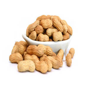 Arachides Salées Grillées Artisanales Indiennes de Nouvelle Récolte Premium, Croustillantes, Durée de Conservation de 24 Mois, pour Importateurs en Gros - Product Image 6