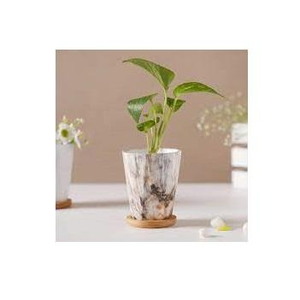Pot de fleurs décoratif en métal de qualité supérieure, taille moyenne, pour jardin et salon - Product Image 5