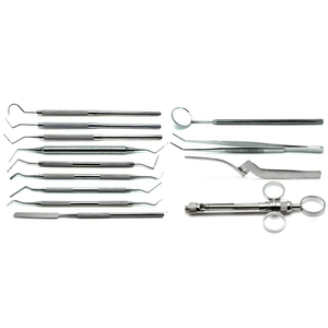 Juego de Instrumentos Dentales Premium de 30 Piezas para Restauración de Amalgama y Composite, de Acero Inoxidable, para Preparación de Cavidades y Relleno de Matrices Dentales - Product Image 2