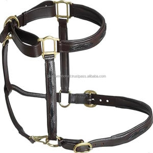 Cabestro de Cuero Genuino Premium para Caballo con Acolchado Suave, Ajustable y Duradero para Doma Clásica, Entrenamiento y Uso Diario - Product Image 1