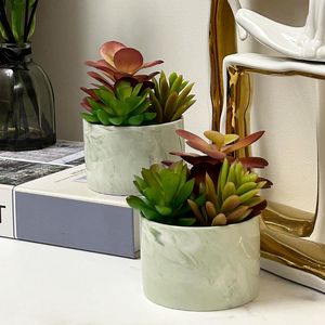 Macetas Decorativas de Cerámica Coloridas con Suculentas Artificiales para el Hogar, Sala de Estar, Oficina, Escritorio, Plantas Falsas en Macetas - Product Image 5